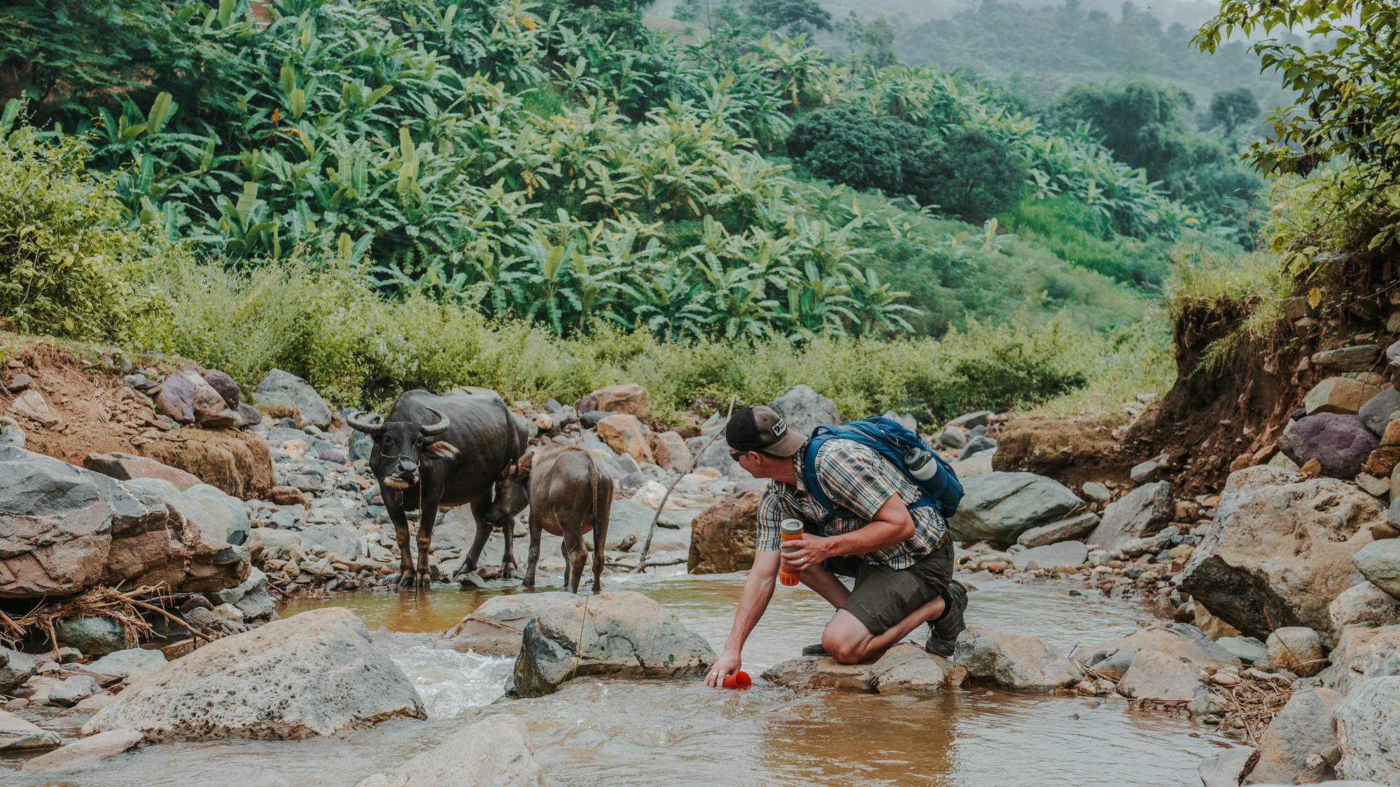 Travis Merrigan reinigt mit seinem Grayl Wasser in unmittelbarer Nähe von Wasserbüffeln in Vietnam.